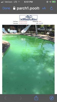 Green pool after service two weeks ago