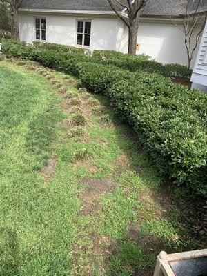 1 year into a contract with US Lawns, and approximately $20,000 later, this is how my property looks.