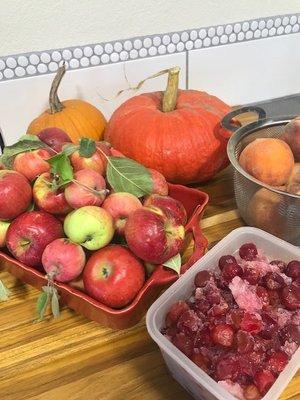 Freshest ingredients to learn about pies!