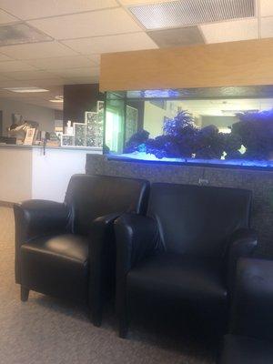 Waiting room has a TV with cartoons and a nice fish tank for kiddos to admire.