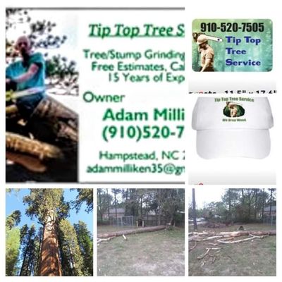 Hazardous Tip Top Tree Team specialist