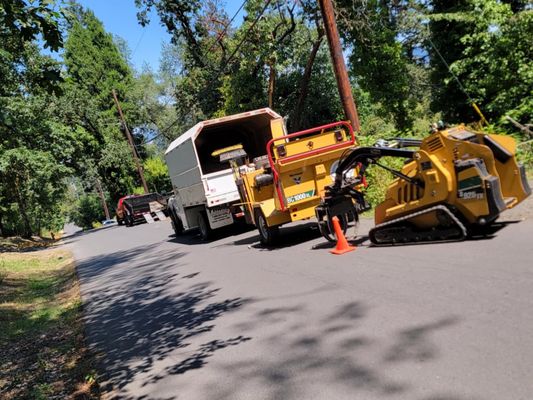 Three Peaks Tree Service