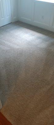 Fresh and Clean Carpet Cleaning of the Day!!