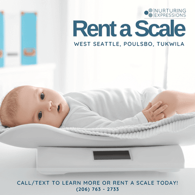 Reach out if you need a scale. We rent them for $3/day!