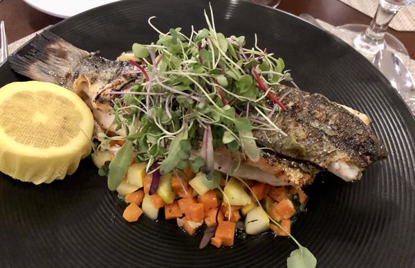 Grilled fish, topped with sprouts on a bed of vegetables