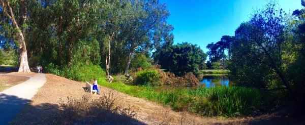 Very Peaceful Spot in Golden Gate Park