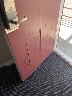 Water damage and termites in and on door