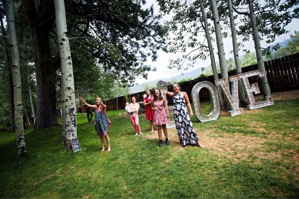 Stunning Aspen trees.