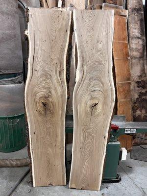 Siberian Elm set