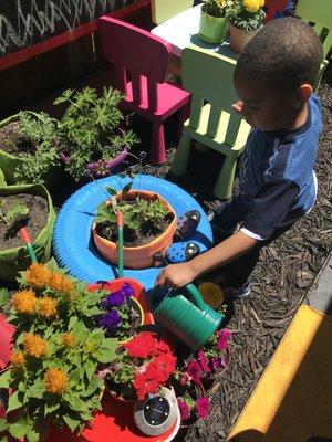 Gardening