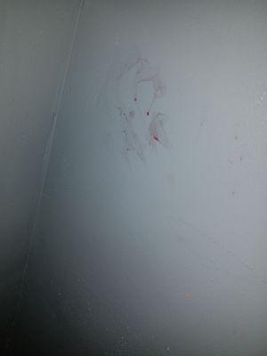 What appears to be blood smeared on the wall. Moments after I got out of the shower, so the condensation may have made it drip more.