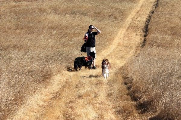 Nothing but burrs EVERYWHERE! Don't bring your long haired dogs here in Summer!