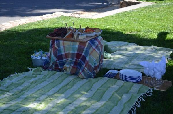 Picnic setup at the grass.