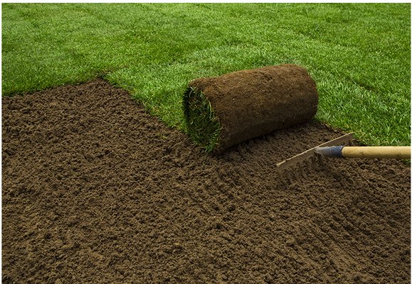 Sod Installation ~ Starting @ $1.75 sq foot installed including mushroom soil, sod, installation