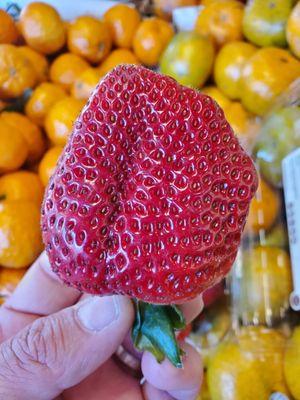 Fresh local strawberries