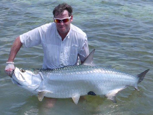 Tarpon