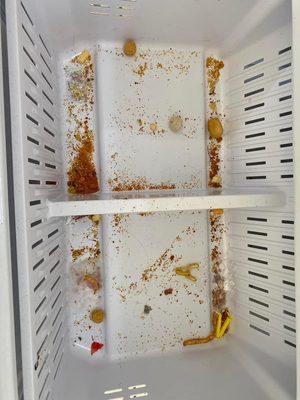 Cleaning refrigerator before pic