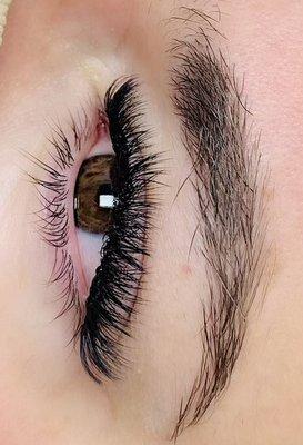 Volume Lashes