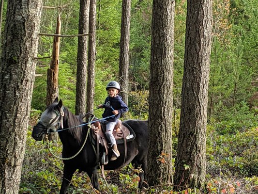 The forest is the best place to ride.