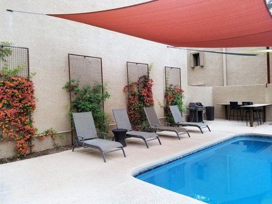 Flowering vines and Shade sailes by the large pool