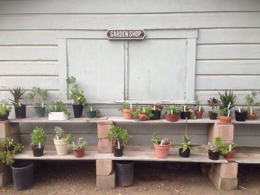 The Gibson House: Garden Shop