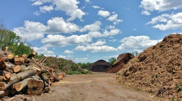 Brush - Yard Waste