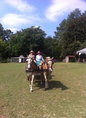 Go for a carriage ride with Marged to tour the beautiful homes in Southern Pines.