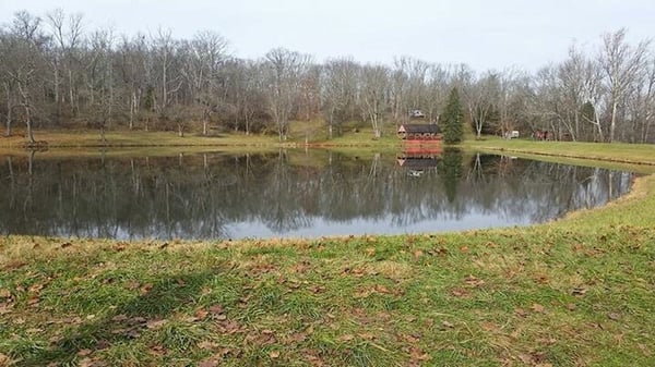 Beautiful lake in this farm