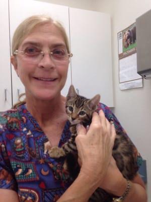 Dr McMindes with my Bengal kitten