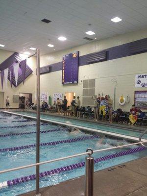 Start of the 100yd Butterfly competition