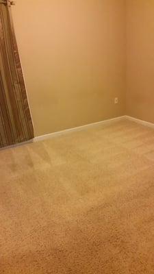 Here's the after picture. The carpet had many stains. It looked very clean and smelled great after he was done!