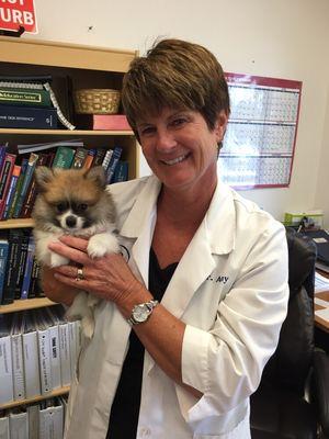 Dr. Amy meeting a Pomeranian pup for their first puppy visit.