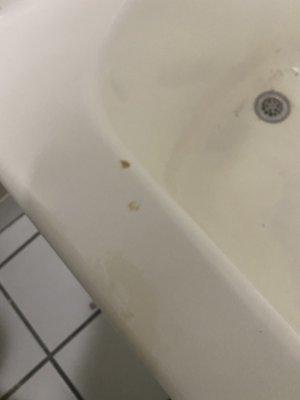 More cigarette burns and scum in bathtub.