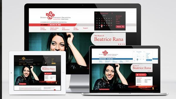 Detroit Symphony Orchestra's (DSO) responsive CMS design features 3 different login views. More info at: http://goo.gl/bt3ZnV