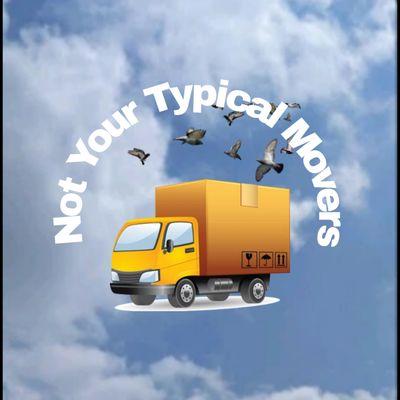 Not Your Typical Movers