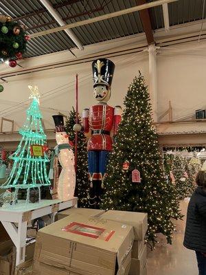 The biggest nutcracker I have ever seen