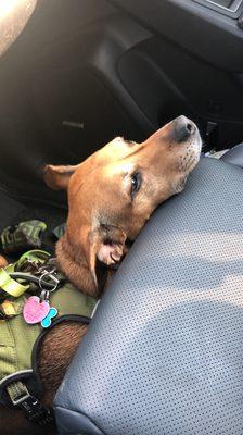 Waiting patiently to get SUV washed and vacuumed