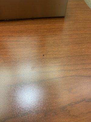 Ants crawling on desk