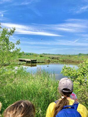 DuPont Environmental Education Center -- Knee-High Naturalists program for preschoolers