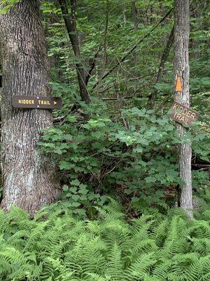 Crossing the Kidder Trail