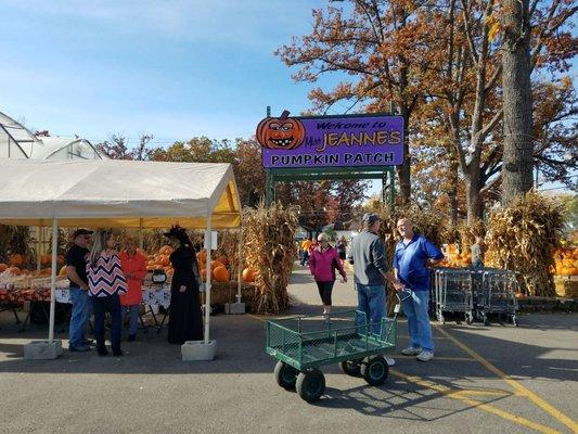 Great day to pick out pumpkins!