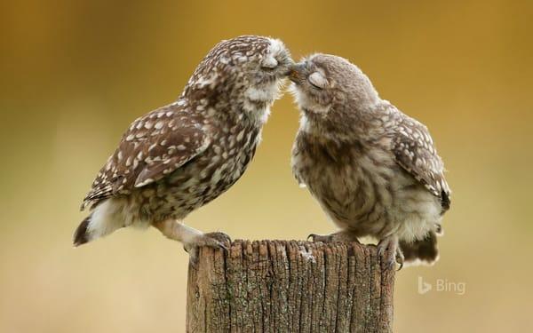 Always time for kisses!