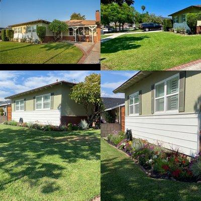 Top photos are the before and the bottom are the after pictures. Socal tree service removed bushes and planted new flowers and plants.