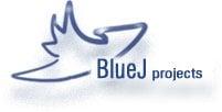 BlueJ Projects Web Design.  Websites made to fly.