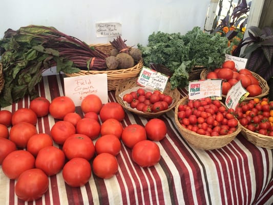 Best Jersey Tomatoes ever !!