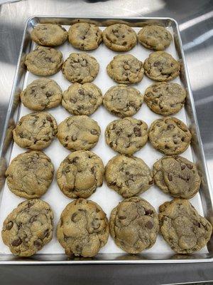 Chocolate chip cookie