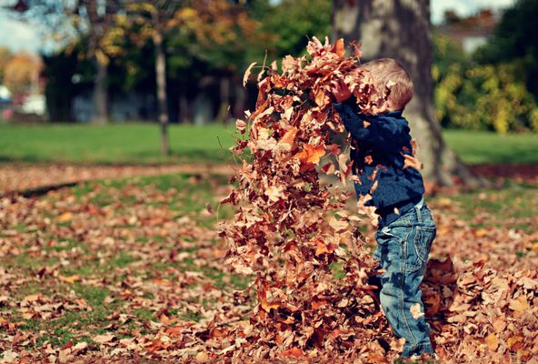 Ticks live and breed in leaf piles!  Have fun, but be careful to check thoroughly after!