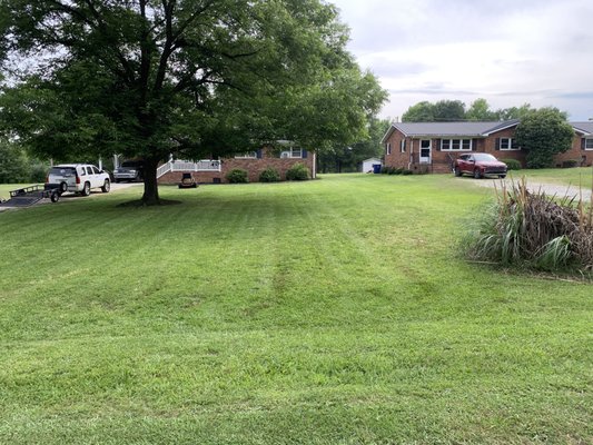 Rye grass mix after cut.