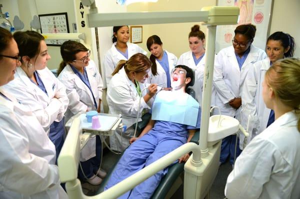 Dental Assistant Training