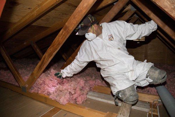 Attic insulation installation